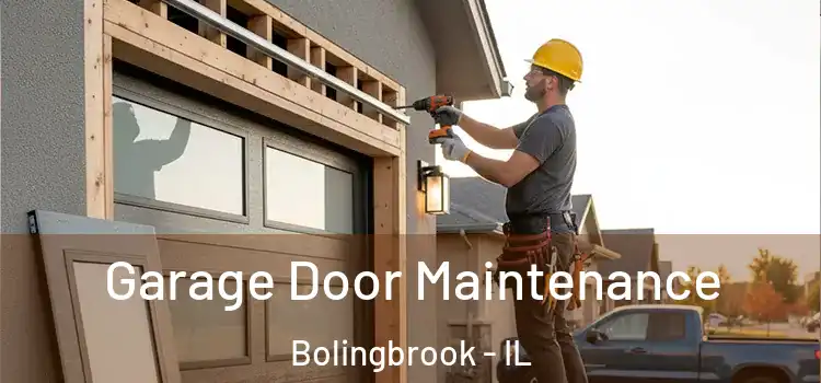 Garage Door Maintenance Bolingbrook - IL
