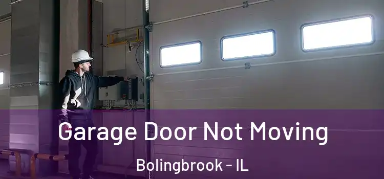  Garage Door Not Moving Bolingbrook - IL