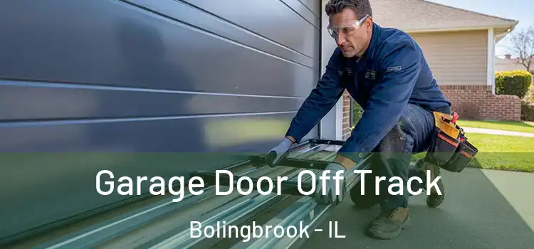  Garage Door Off Track Bolingbrook - IL
