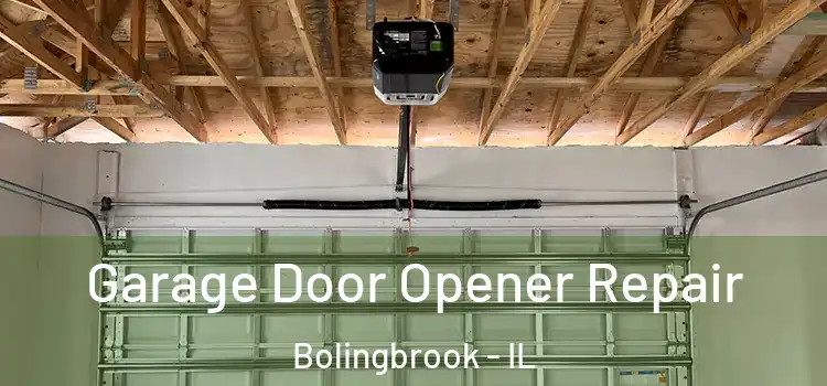  Garage Door Opener Repair Bolingbrook - IL