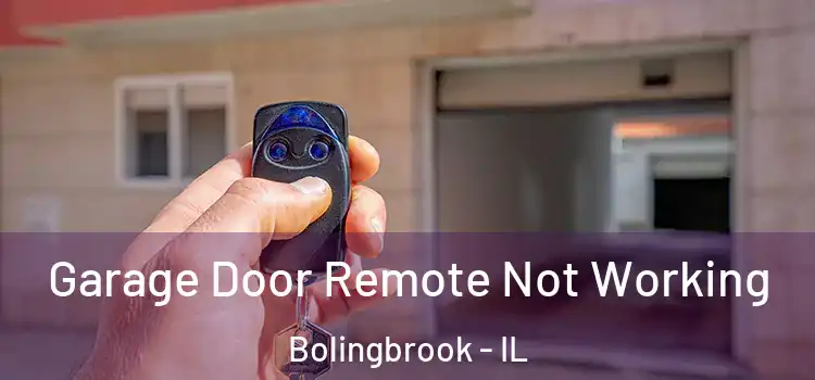  Garage Door Remote Not Working Bolingbrook - IL