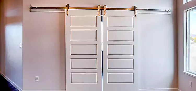 Glass Barn Door with Installation Hardware Kit Bolingbrook
