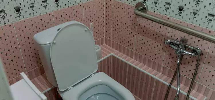 Meeting Diverse Needs With Accessible Restroom Solutions in Bolingbrook, IL