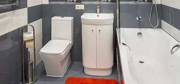 Hansgrohe Shaving Mirror Bolingbrook