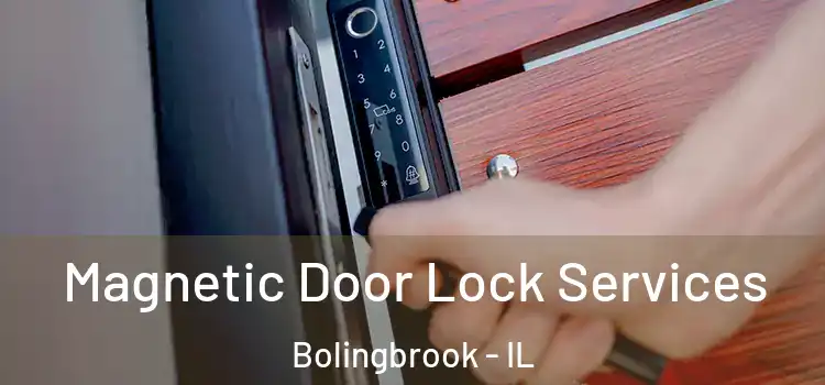 Magnetic Door Lock Services Bolingbrook - IL