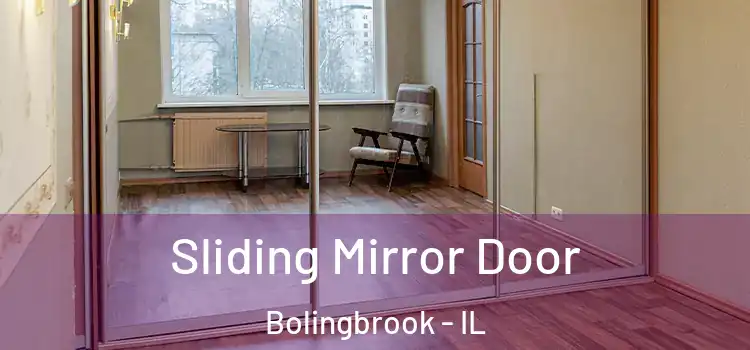  Sliding Mirror Door Bolingbrook - IL